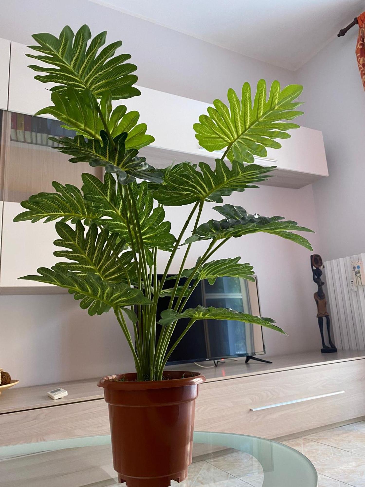 Betulle'S House Apartment Rome Bilik gambar